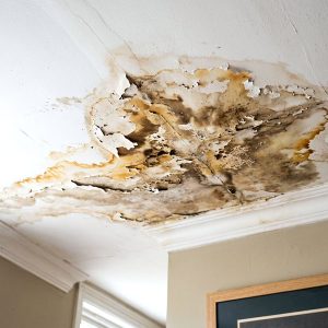 Water stain on ceiling due to a leaking roof